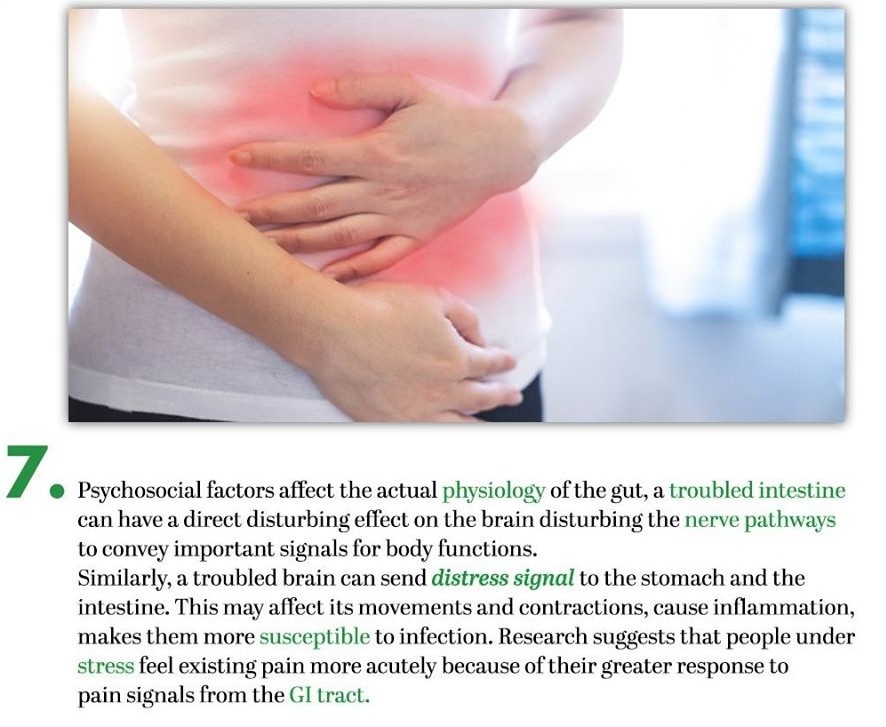 gut-health-5