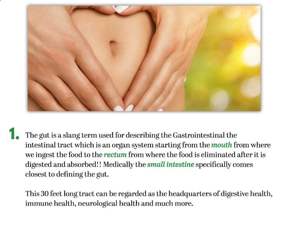 gut-health